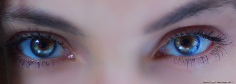 Surprise Developement