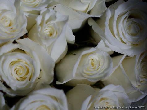 Adventure In Focus and Color