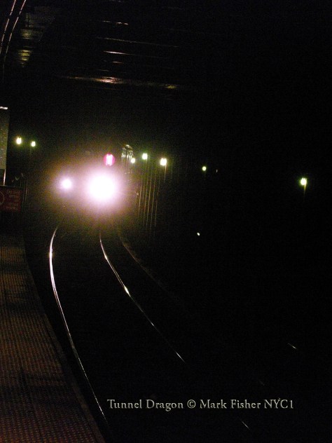 Tunnel Dragon © Mark Fisher NYC-8276