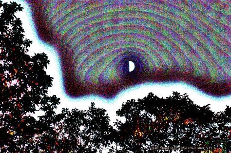 Half Moon Story © Mark Fisher NYC1-5600