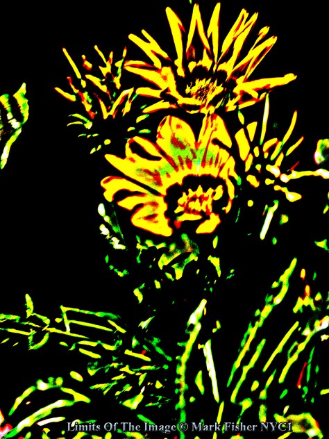 Limits Of The Image © Mark Fisher NYC1-0277-Recovered