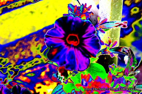 Horn The Static © Mark Fisher NYC1-0276